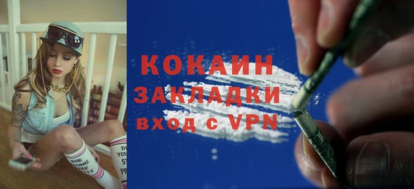 амф Дмитриев