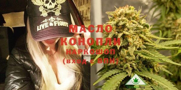 крисы Дмитров