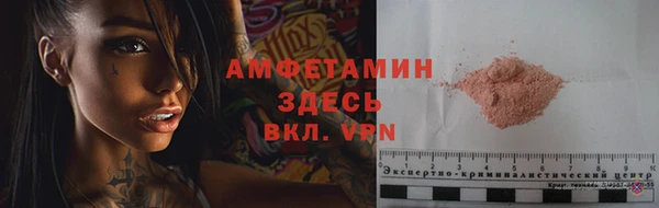 крисы Дмитров
