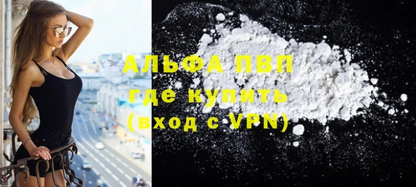 крисы Дмитров