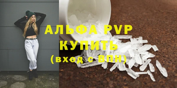 амф Дмитриев
