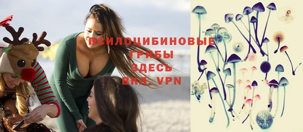 крисы Дмитров