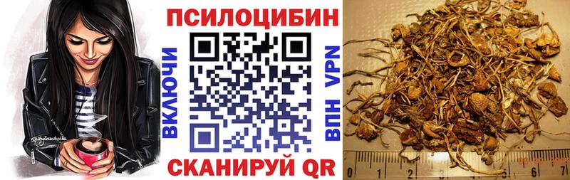Купить где  Кирс  Псилоцибиновые грибы прущие грибы 